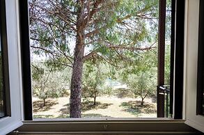 Agriturismo la Fragolaia