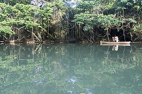 Cotton Tree Lodge