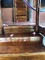 Cotton Tree Lodge
