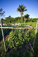 Cotton Tree Lodge