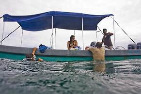 Cotton Tree Lodge