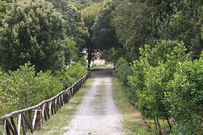 La Scala del Sale