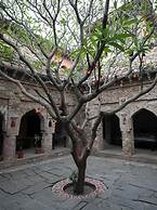 Fort Dadhikar, Alwar