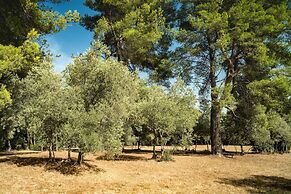 Domaine de Saint Clair
