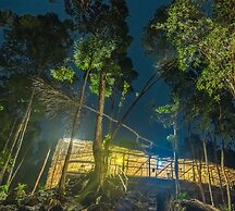 Driftwood Hostel and Bungalows