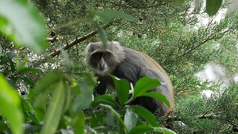 Arusha Villa