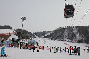 Heidi Korea