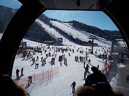 Heidi Korea