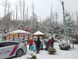 Heidi Korea