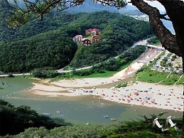 Heidi Korea