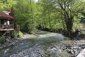 Abant Dort Mevsim Konagi