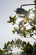 Baba Ecolodge
