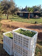 La Ferme El Dar