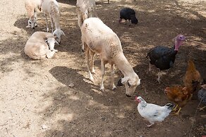 La Ferme El Dar