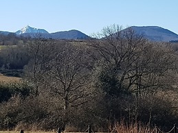 Rêves de Bois