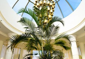 La Palmora Suites