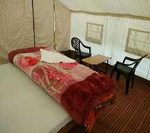 The Buddha Camp