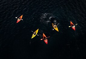 Fiordland Discovery