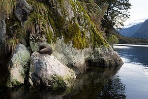 Fiordland Discovery