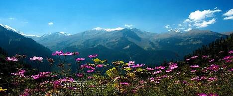 Himalayan Retreat Karzoo