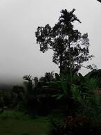Baan Pennee