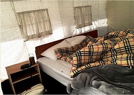 TIH The Regal Camp