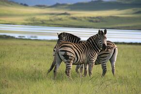 Sani Valley Nature Lodges