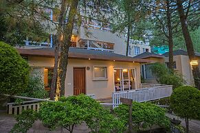 Jungle Lodge Resort