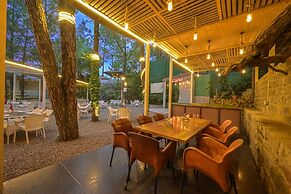 Jungle Lodge Resort