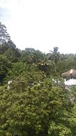 Aluthgedara Guest House