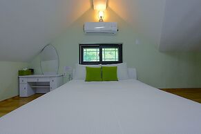 Forest of Color Pension