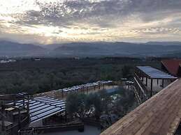 Olive Gardens Resort