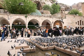 Turkmen Konagi