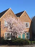 3 Summertown Court