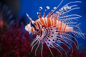 Atlantis Sanya