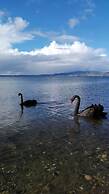 Great view near Rotorua lake