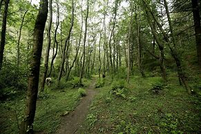 Zone Connect by the Park Manali