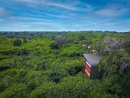 Leopard Nest in Yala