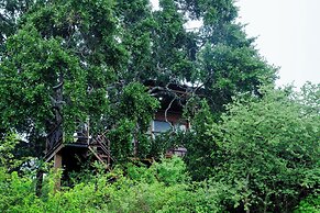 Leopard Nest in Yala