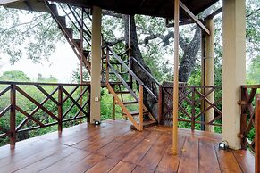 Leopard Nest in Yala
