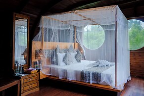 Leopard Nest in Yala