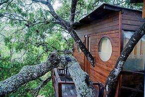 Leopard Nest in Yala