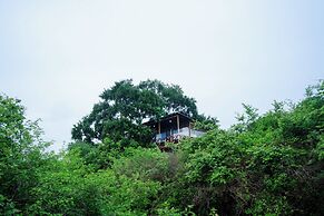 Leopard Nest in Yala