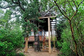 Leopard Nest in Yala