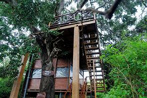 Leopard Nest in Yala