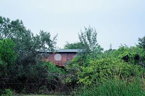 Leopard Nest in Yala