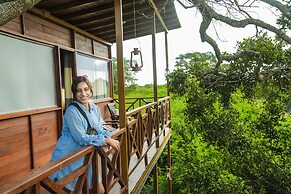 Leopard Nest in Yala
