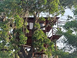 Leopard Nest in Yala