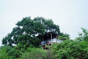 Leopard Nest in Yala