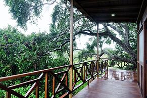 Leopard Nest in Yala